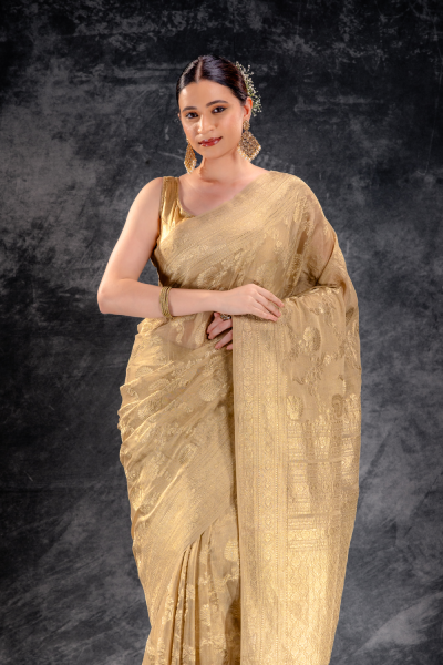 Beige Gold Tissue Saree with Zari Jaal Weave and Ornate Border