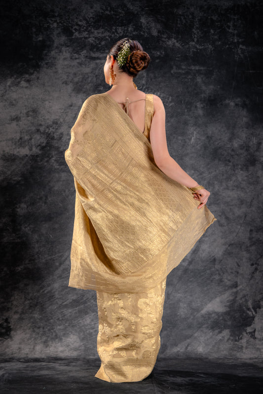 Beige Gold Tissue Saree with Zari Jaal Weave and Ornate Border