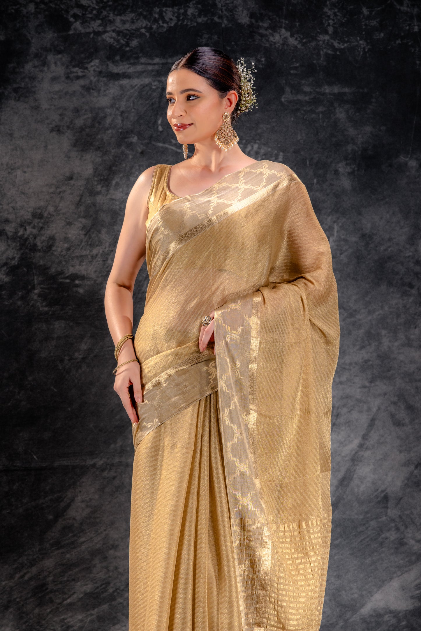 Tissue Royale Champagne Saree with Mughal Frame Border & Wavy Zari Body