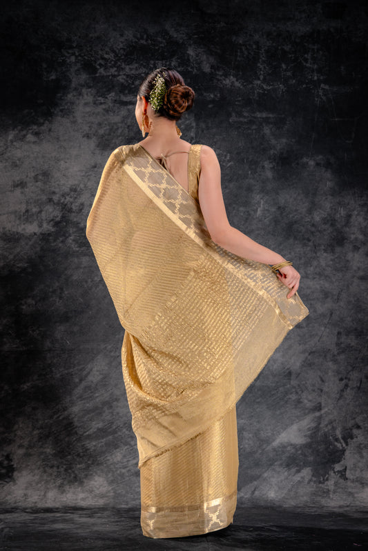 Tissue Royale Champagne Saree with Mughal Frame Border & Wavy Zari Body
