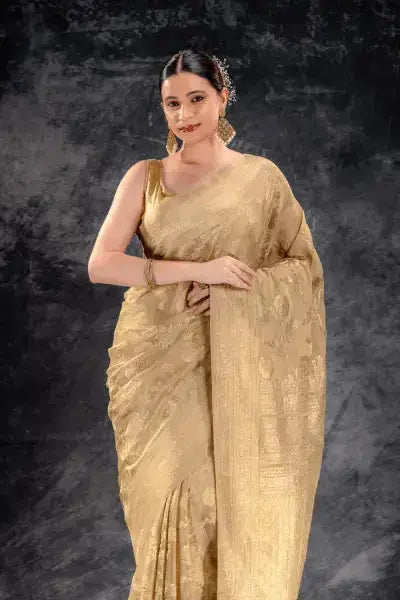 Beige Gold Tissue Saree with Zari Jaal Weave and Ornate Border that-saree-shop.myshopify.com